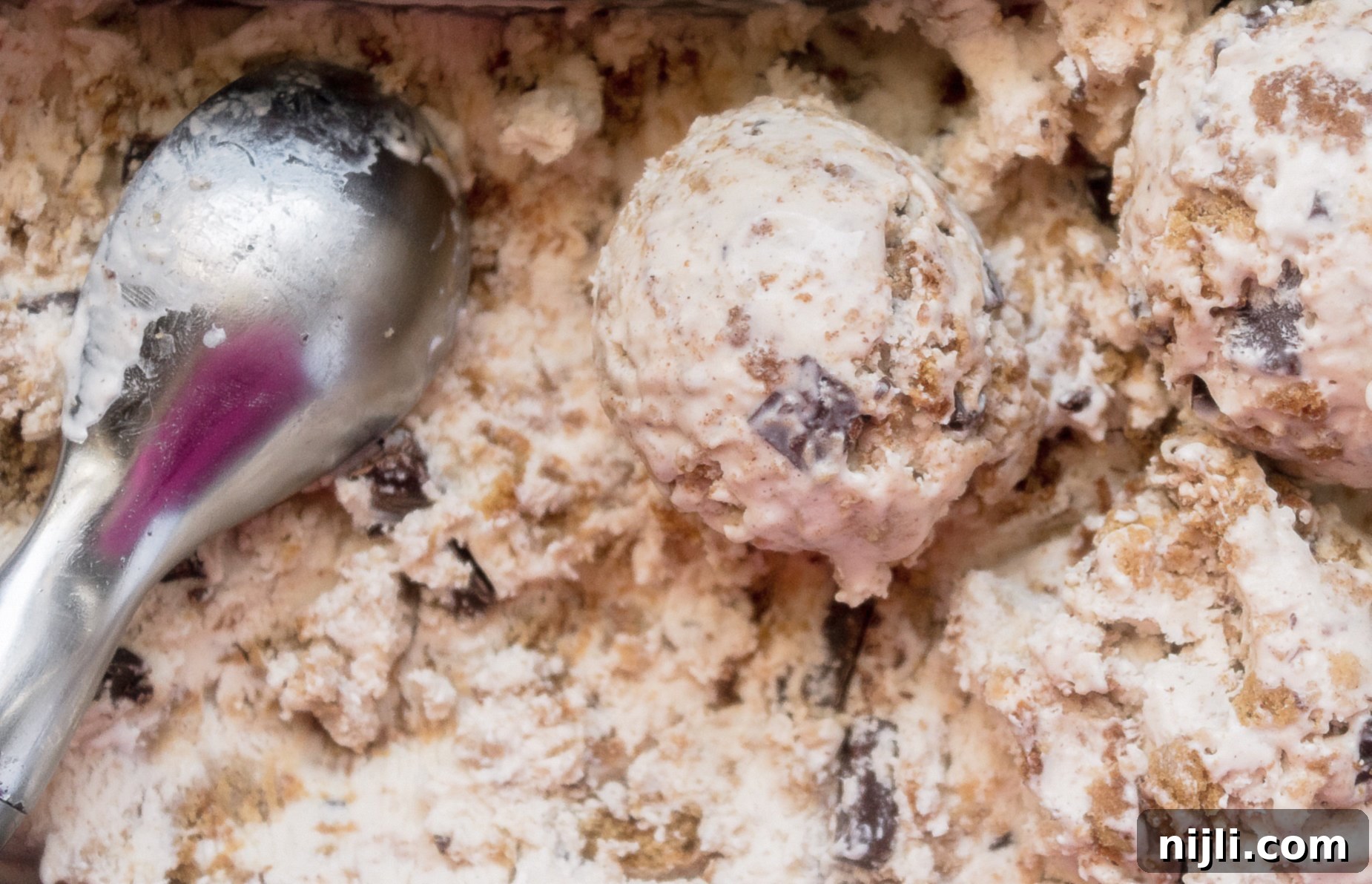 Homestyle Oatmeal Cookie Ice Cream 4 no churn ice cream oatmeal cookie chunk