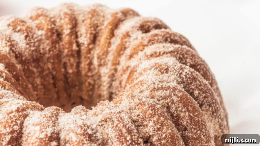 closeup of apple cider donut cake