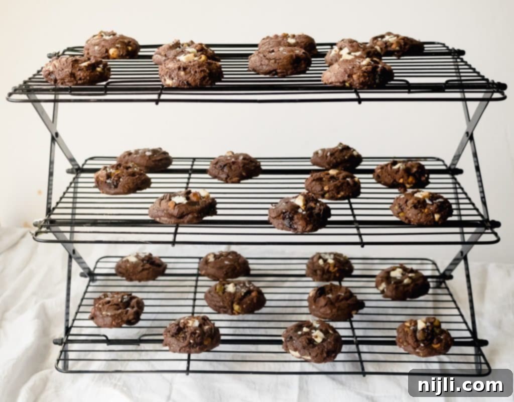 Chenée Today 2020 Reader Survey CLOSED 2 Wilton 3-Tier Collapsible Cooling Rack displaying White Chocolate Cherry Pistachio Cookies
