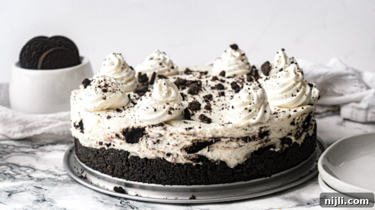 Decadent No-Bake Oreo Cheesecake 6 whole no bake Oreo cheesecake with cool whip and Oreos in the background