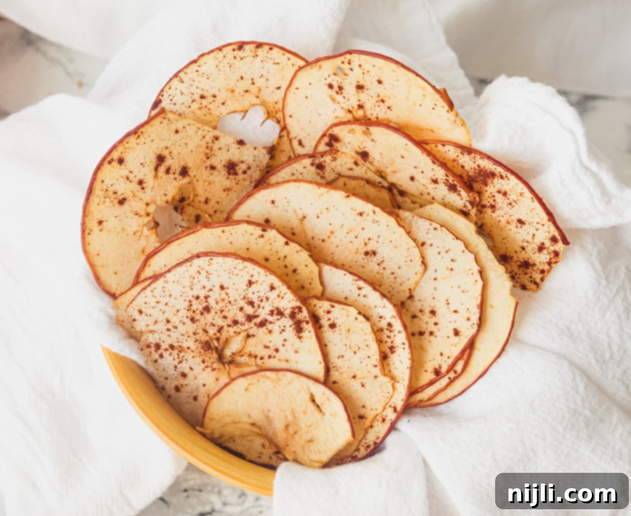 Crispy Apple Bites 4 apple chips recipe