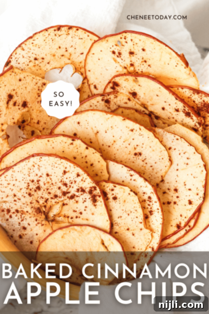 Crispy Apple Bites 5 apple chips recipe pin image