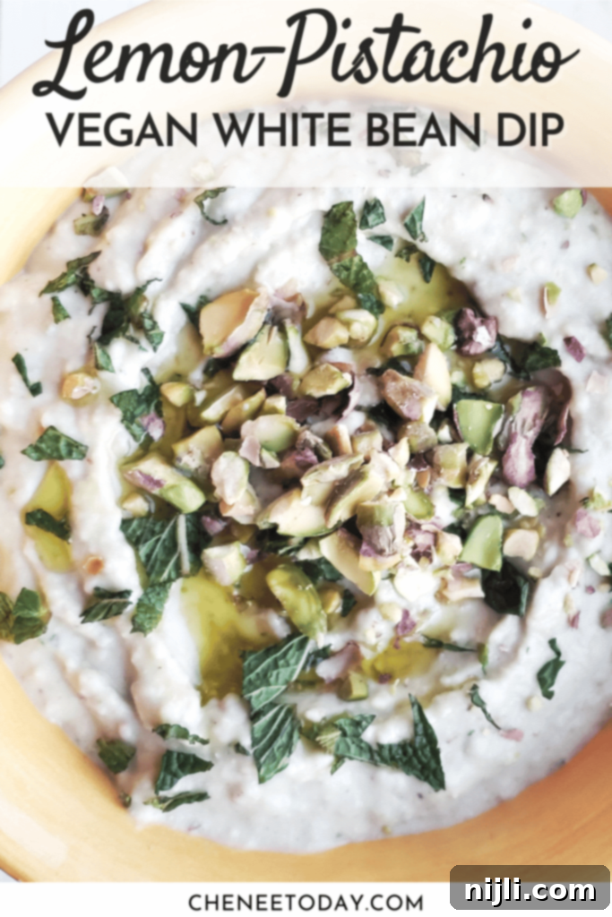Bright Lemony Vegan White Bean Pistachio Dip 6 Easy Vegan White Bean Dip Recipe - Healthy Appetizer! | Chenée Today