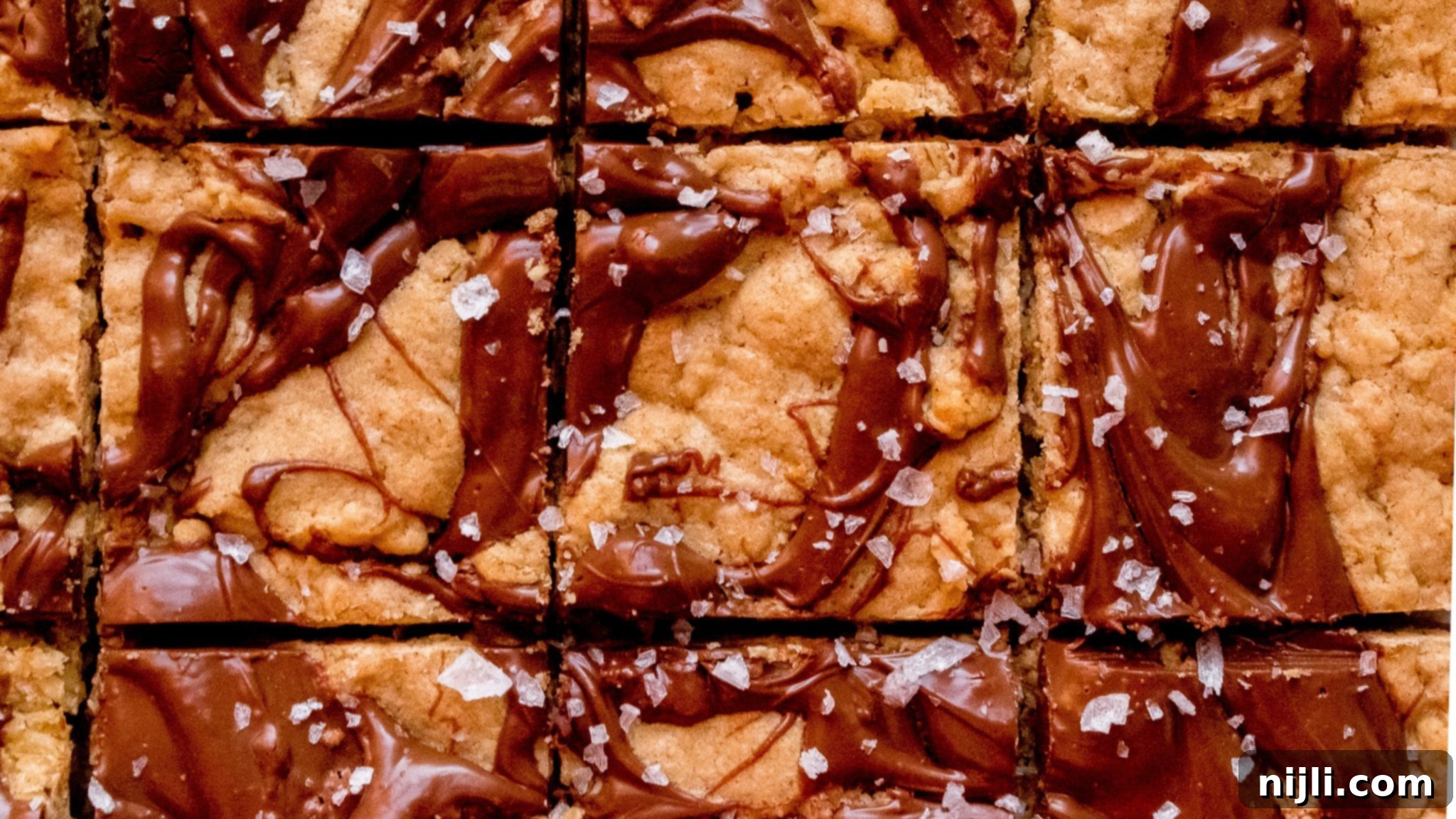 Salted Nutella Swirled Brown Butter Oatmeal Bars 2 Delicious brown butter oatmeal cookie bars with a generous swirl of Nutella and a sprinkle of sea salt.