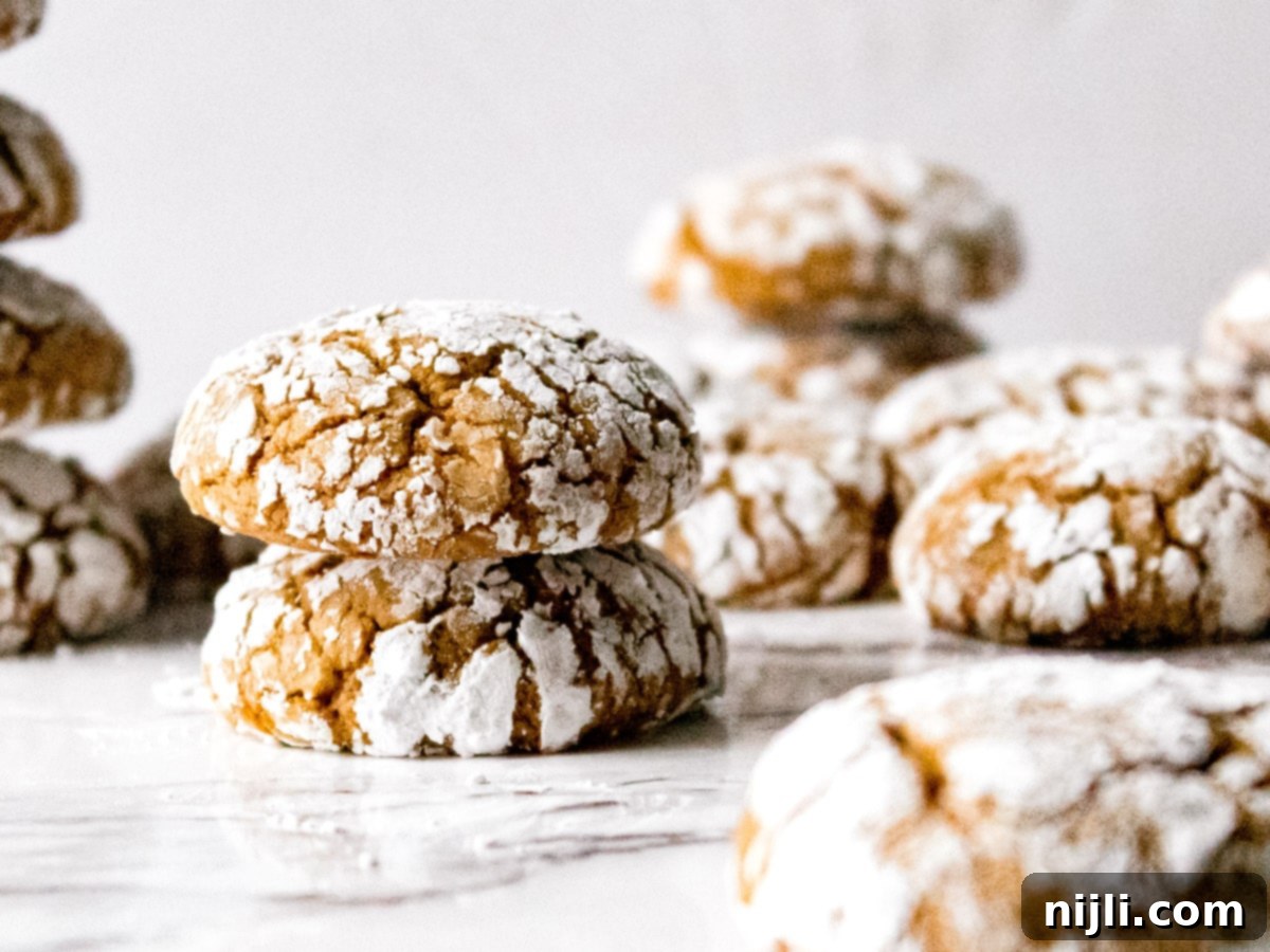 Spiced Ginger Crinkles 5 gingerbread crinkle cookies stacked