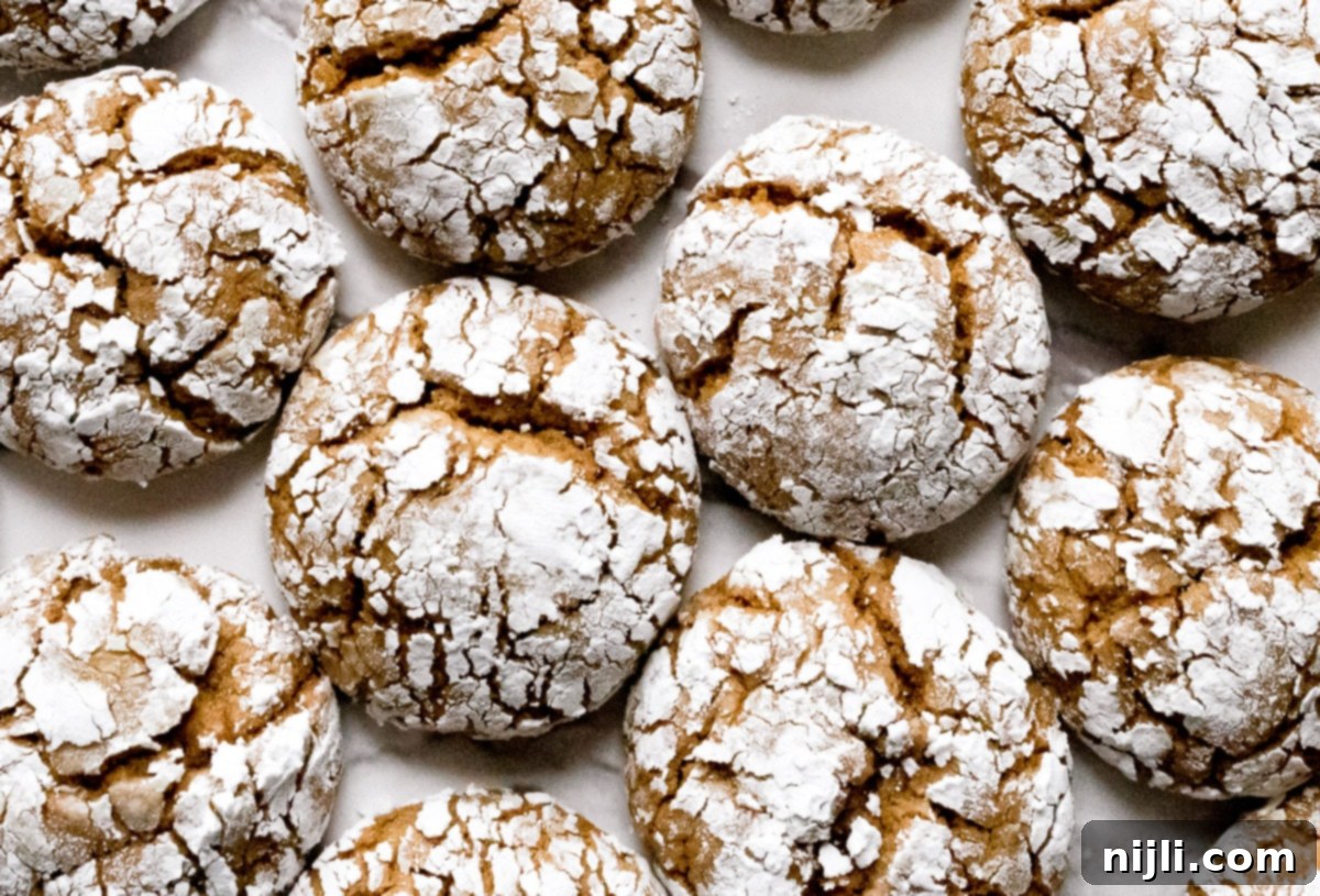 soft ginger cookies shot from above