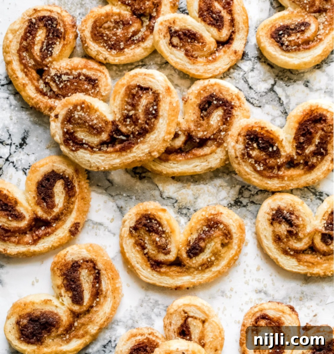 Golden Cinnamon Elephant Ears 2 cinnamon palmiers scattered on a counter