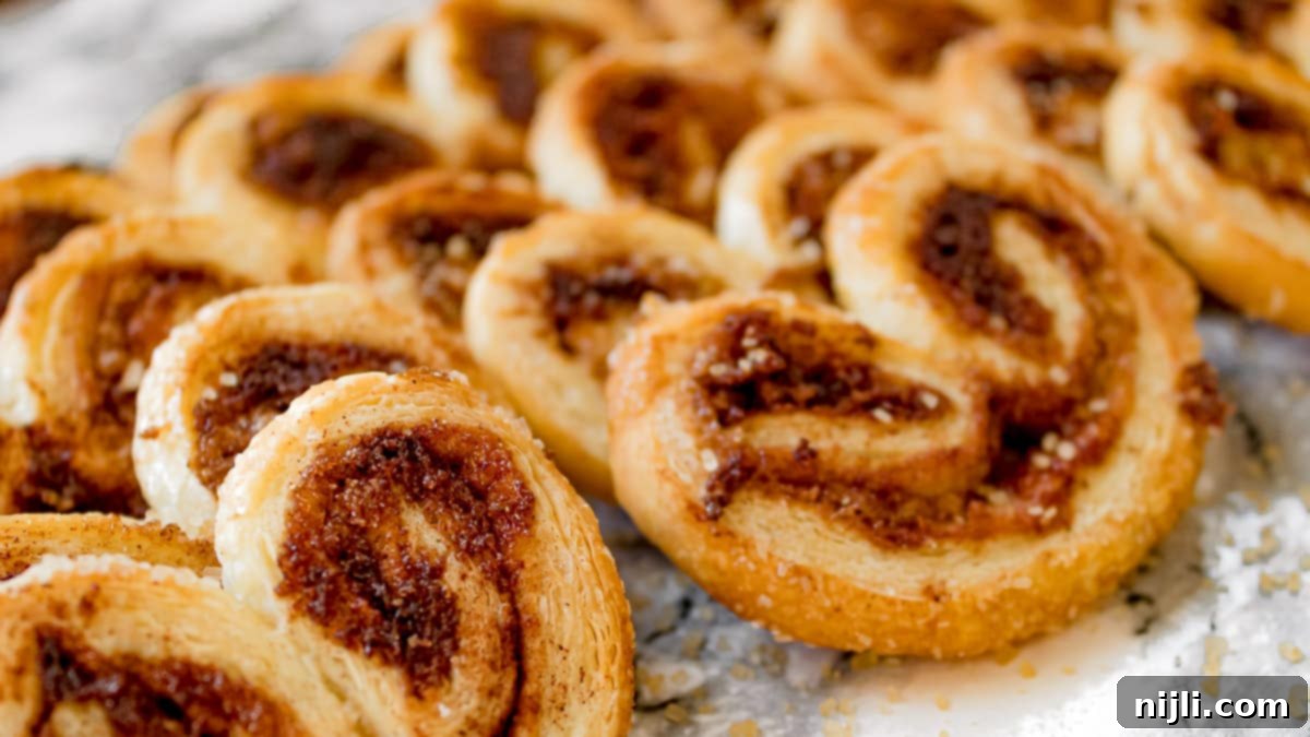 Golden Cinnamon Elephant Ears 4 angle shot of cinnamon palmiers