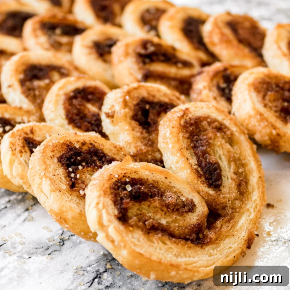 Golden Cinnamon Elephant Ears 6 angle shot of cinnamon palmiers
