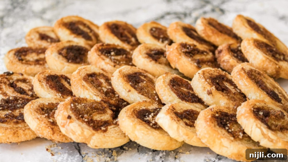 Golden Cinnamon Elephant Ears 10 side view of cinnamon sugar palmiers