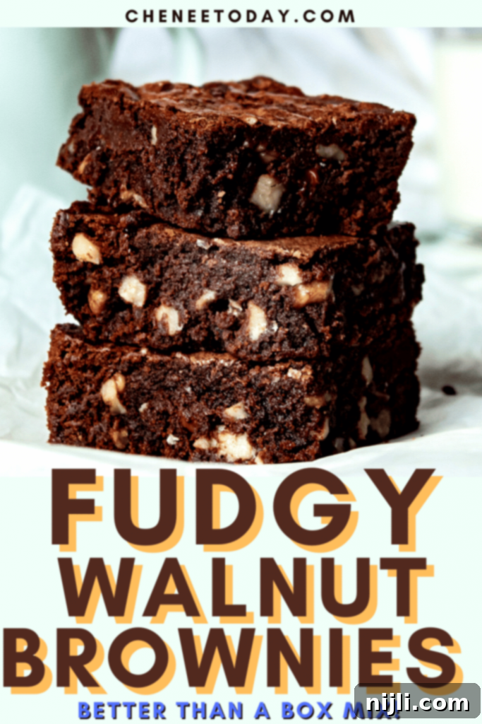 Gooey Chocolate Walnut Brownies 12 Classic Fudge Walnut Brownies Recipe - Better Than Box Mix! | Chenée Today