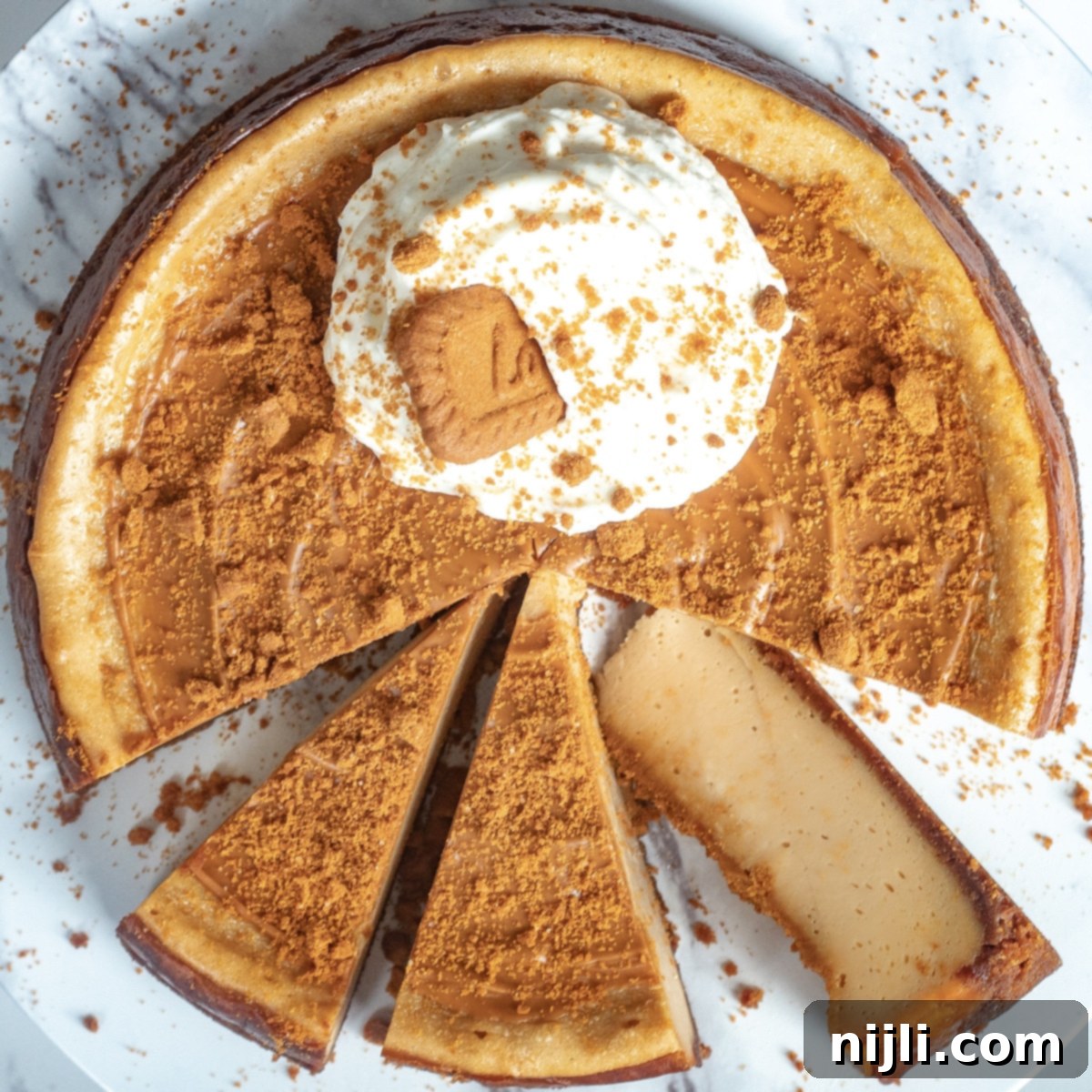 Cookie Butter Cheesecake Bliss 2 Overhead shot of baked biscoff cheesecake