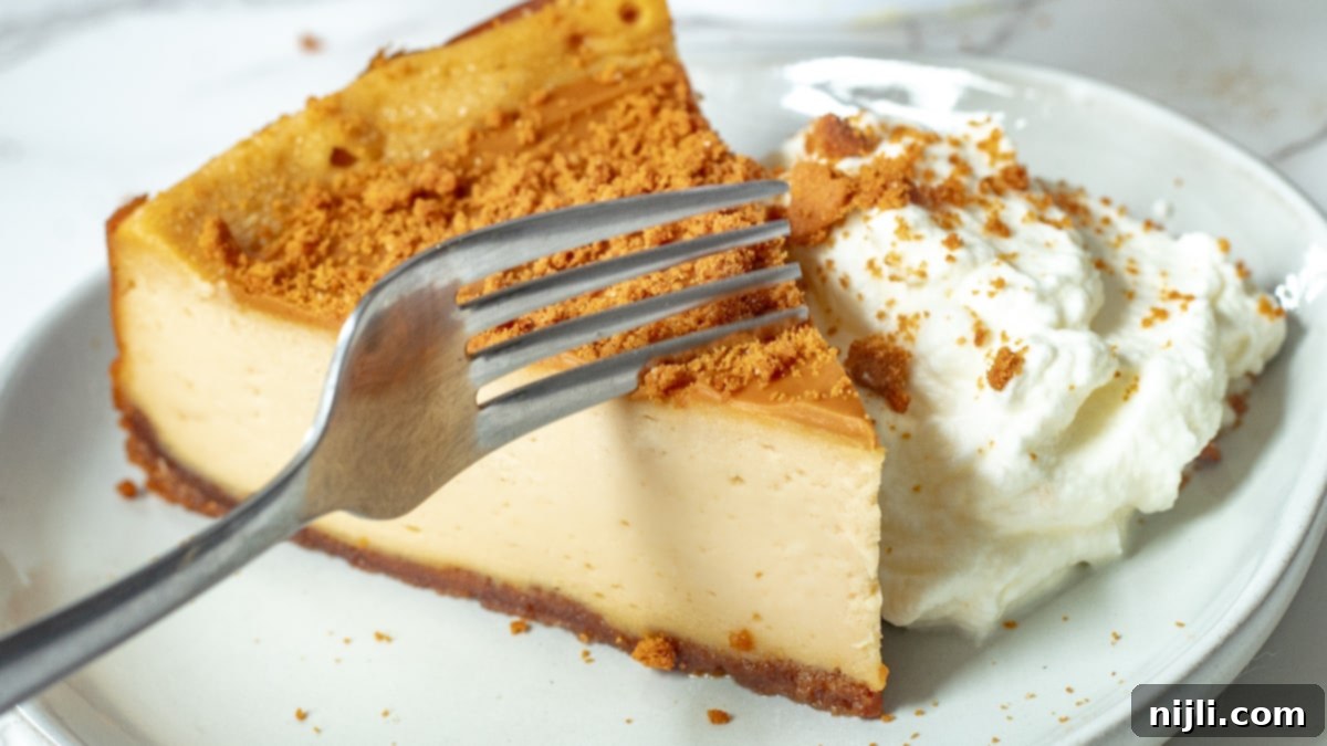 Cookie Butter Cheesecake Bliss 3 fork cutting into Lotus Biscoff cheesecake