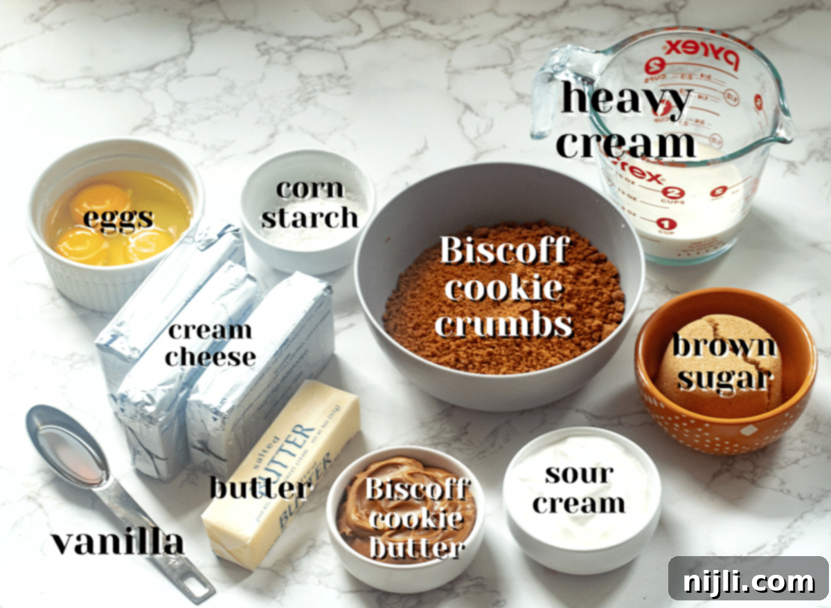 Cookie Butter Cheesecake Bliss 4 ingredients for biscoff cheesecake