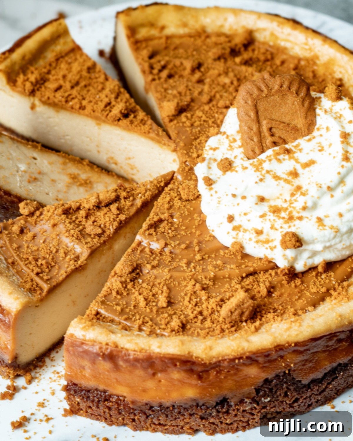 Cookie Butter Cheesecake Bliss 5 Angle view of Biscoff cheesecake