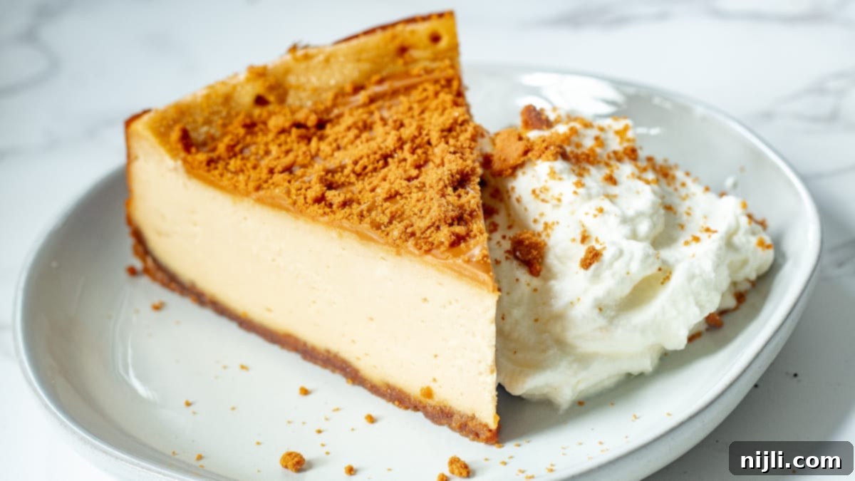 Cookie Butter Cheesecake Bliss 6 slice of biscoff cheesecake on a plate with whipped cream