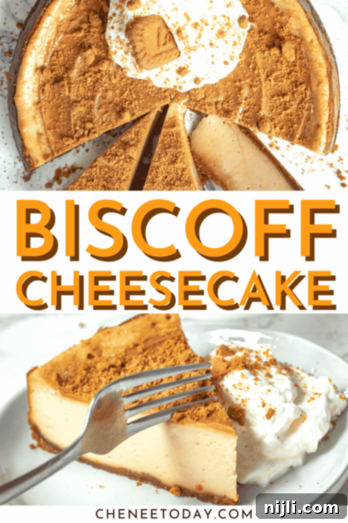 Cookie Butter Cheesecake Bliss 8 Biscoff cheesecake pin image