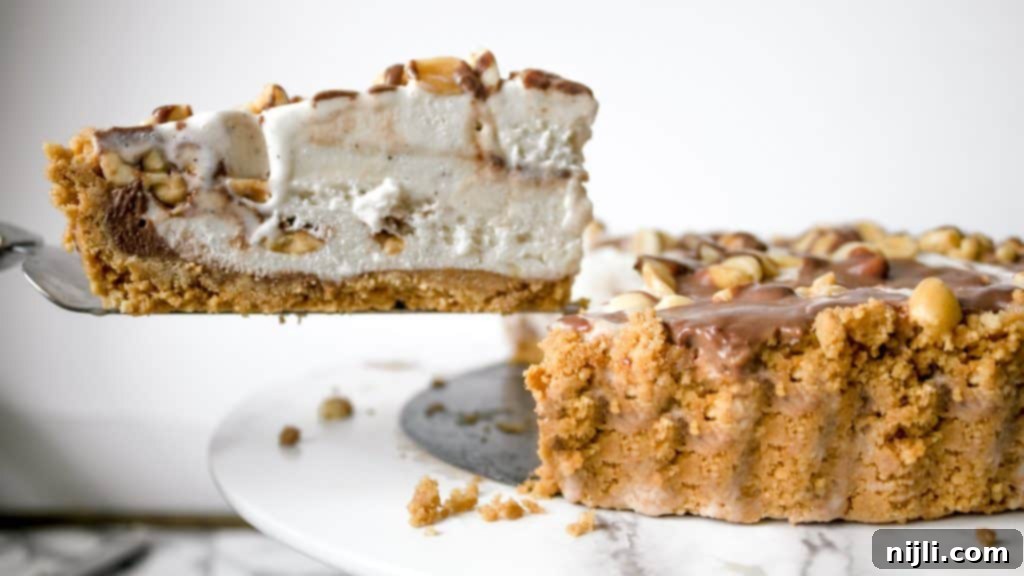 Peanut Buster Parfait Ice Cream Pie | Chenée Today