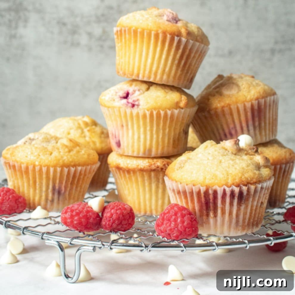 White Chocolate Raspberry Delight Muffins 2 White Chocolate and Raspberry Muffins