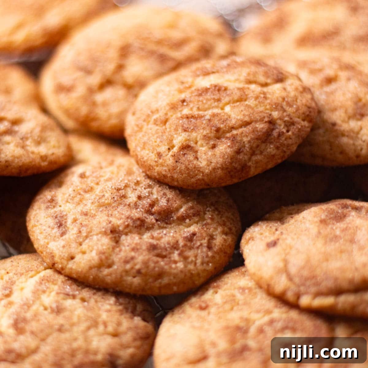 Tartar-Free Snickerdoodle Delights 2 Close-up view of golden brown snickerdoodle cookies with cinnamon sugar tops cooling on a wire rack.