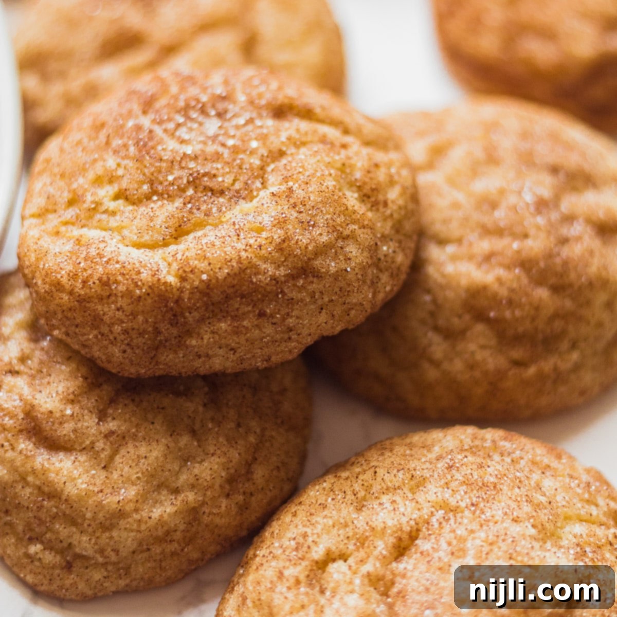 Tartar-Free Snickerdoodle Delights 3 close up of snickerdoodle recipe without cream of tartar