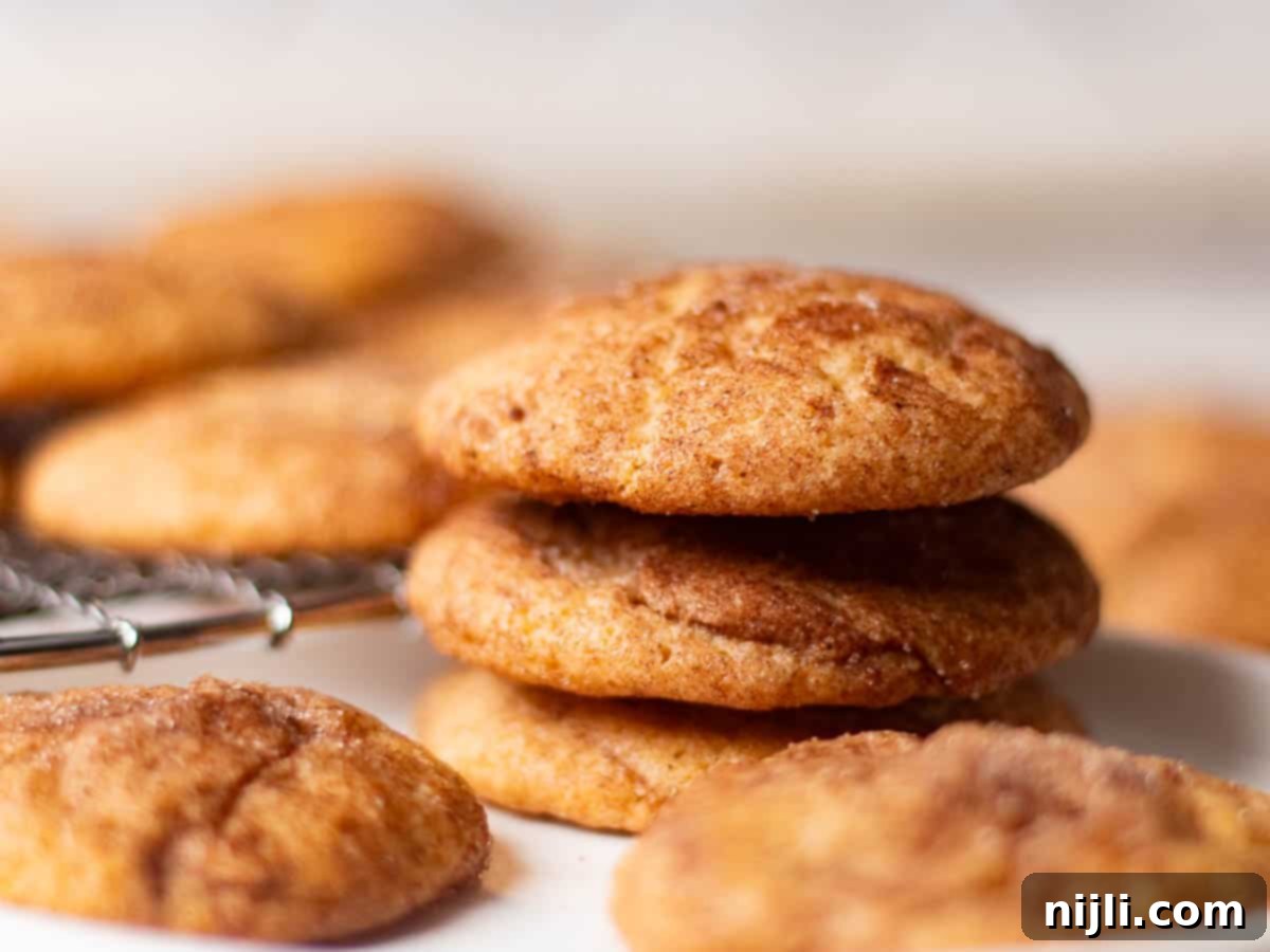 Tartar-Free Snickerdoodle Delights 4 A small stack of snickerdoodle cookies resting on a white plate, surrounded by more cookies in the background.