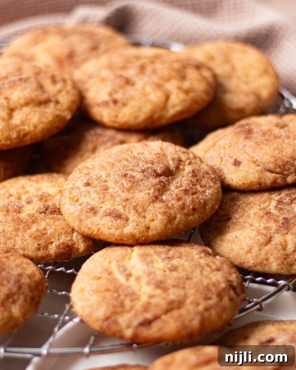 Tartar-Free Snickerdoodle Delights 6 Close-up image highlighting the crackly, cinnamon-sugar coated surface of freshly baked snickerdoodle cookies.