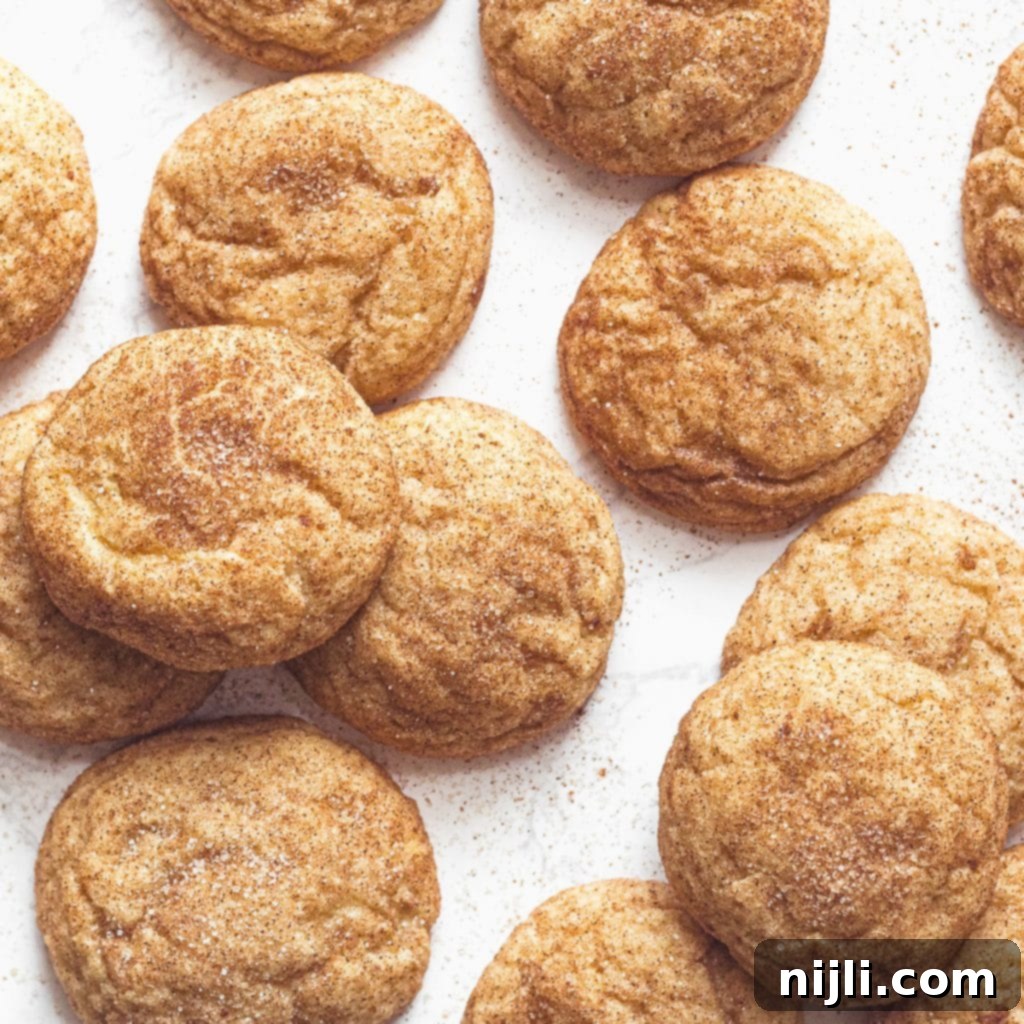 Tartar-Free Snickerdoodle Delights 8 easy snickerdoodle recipe without cream of tartar seen from above