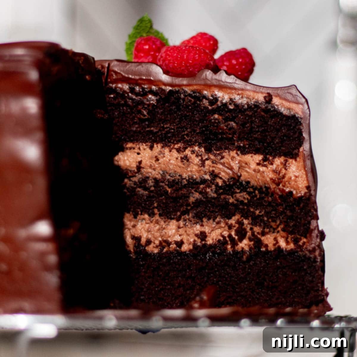 Close-up of chocolate mousse cake slice highlighting airy mousse filling and soft chocolate cake layers, a smooth and decadent chocolate dessert.