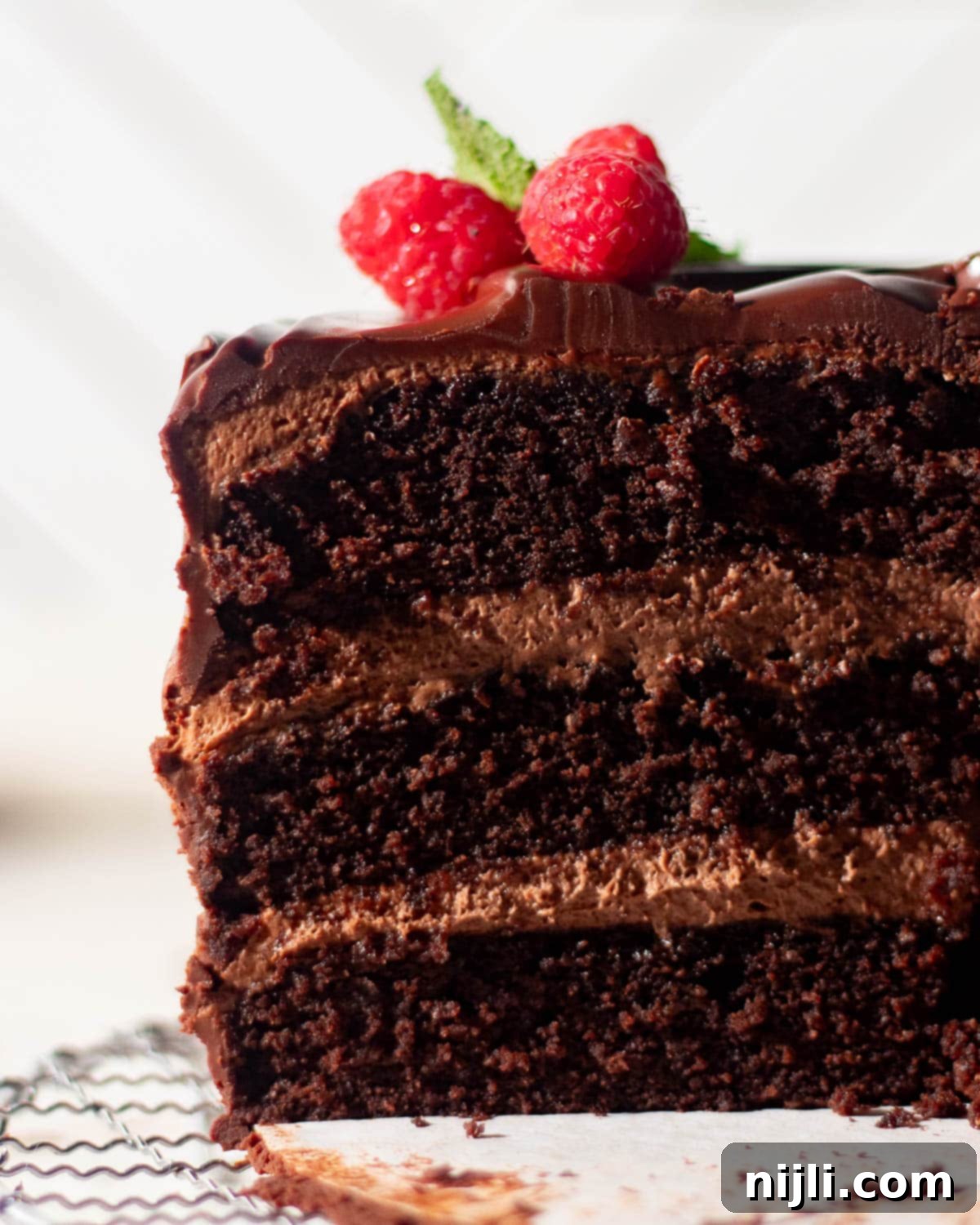 Cross-section of a rich chocolate mousse cake with layers of mousse filling and moist cake, an easy chocolate mousse cake recipe for chocolate lovers.