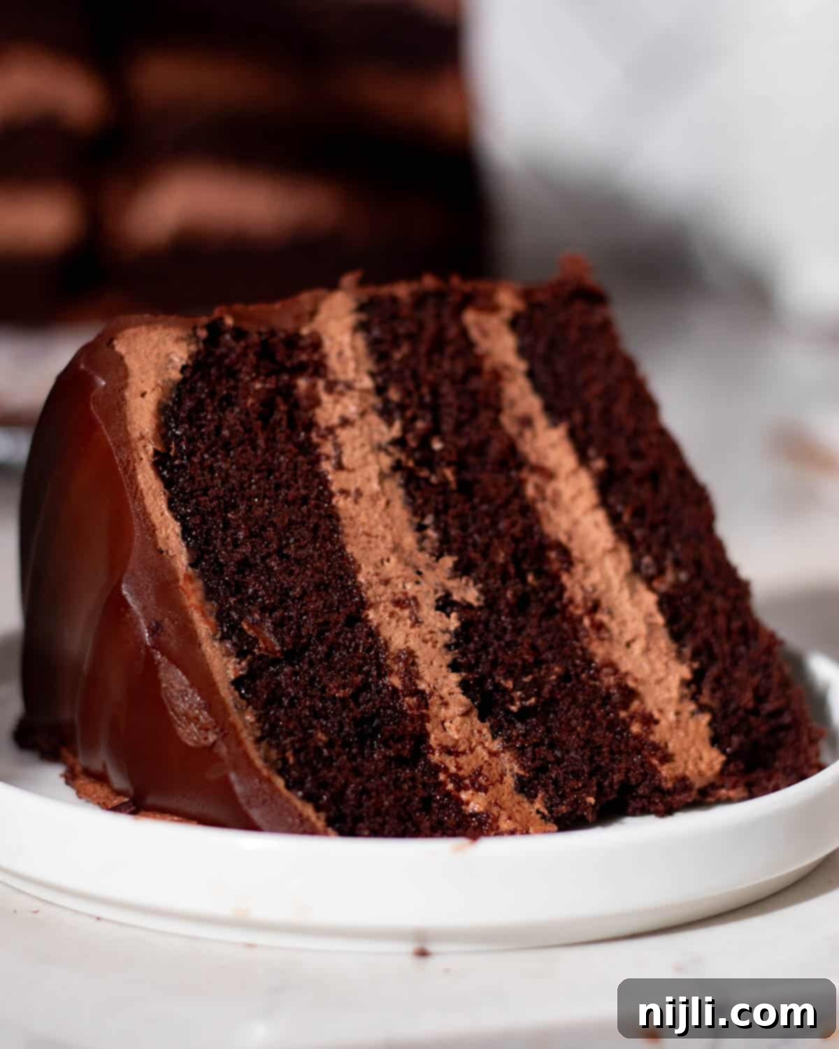 Close-up of chocolate mousse cake slice showing fluffy mousse and dark chocolate cake layers with ganache topping.
